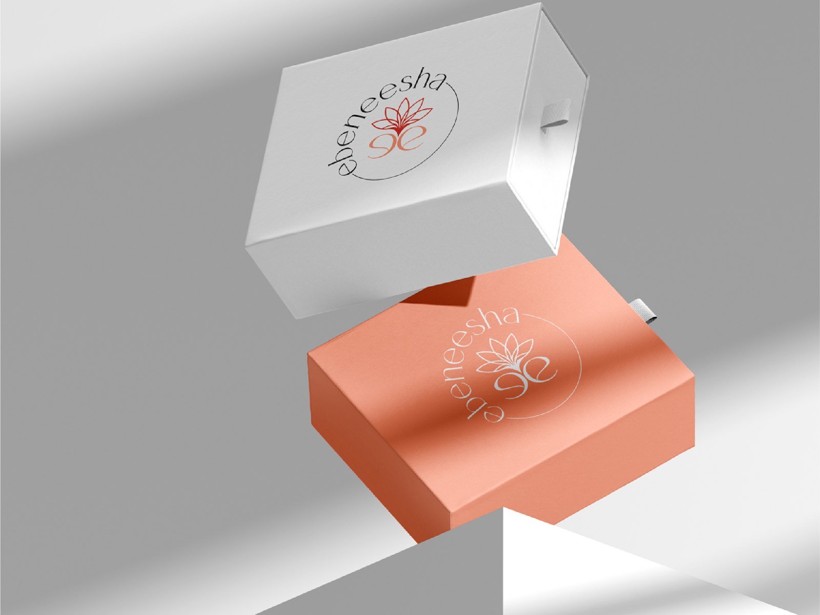 Projet Ebeneesha — identité, branding et packaging